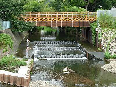 �������������᤯�����򤹤�ͤ���