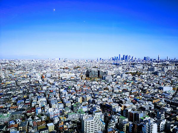 スカイキャロット展望ロビーからの新宿方面