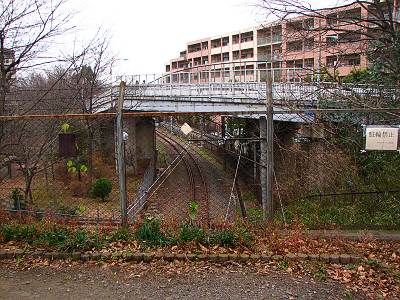 ���ſ��Ҳ�����ϩ