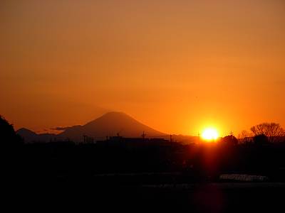 2008ǯ�糢������������