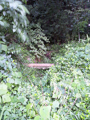 ���͸����ͯ����