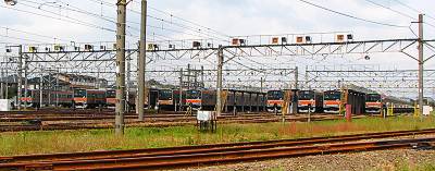 ������żִ���