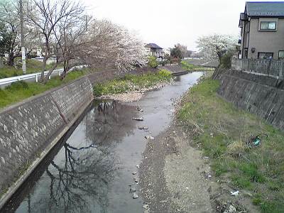 日向橋からの柳瀬川