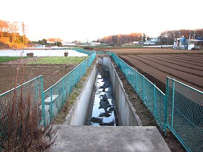 �������꡼�󥻥󥿡��᤯�������Ŀ�ϩ