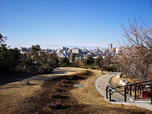 目黒天空庭園からの展望
