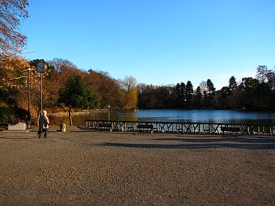 ��ʡ���������