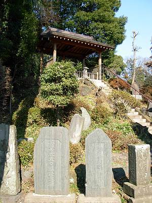 ���޿��� �ٻ���