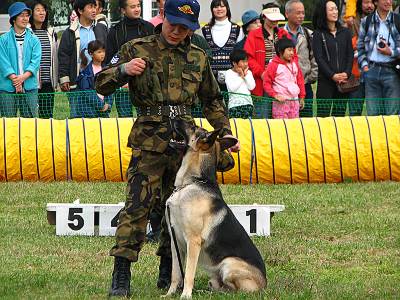 ���ֹҶ��� ����������Ÿ��