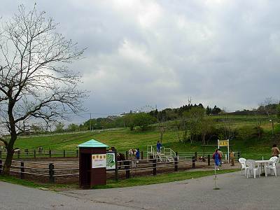 �ޥ����Ҿ줽��1