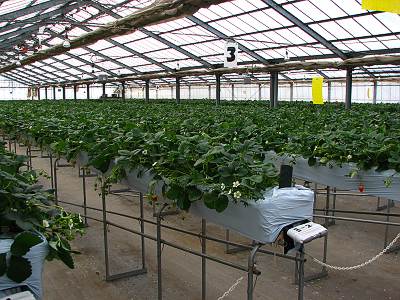 ����ե����� �Ϥäԡ���������Υϥ�������