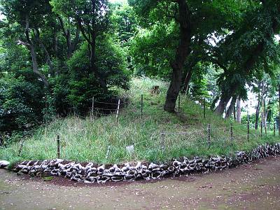 �¾����Ҥζ���ˤ��뻳