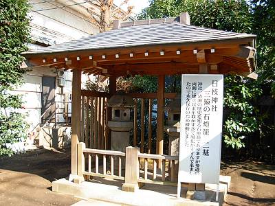 ���޿��� �����������