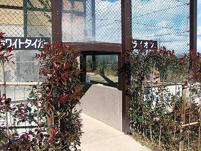 ���ϥ��ե���ѡ����Υۥ磻�ȥ��������ȥ饤����ݸ���