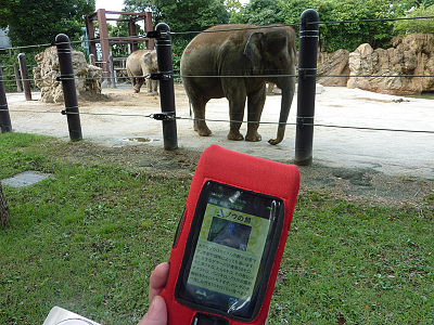 ����ü����Ȥä�ưʪ���󥵡��ӥ�