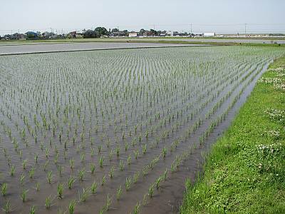 �ٻθ��Ԥ��Ĥ��