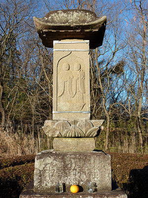 ϻ��¢������