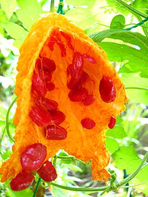 ��������������2(����)