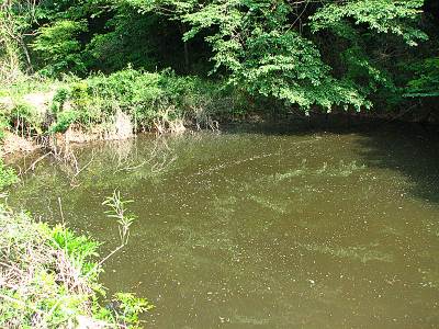 �֥ɥ�ƽ������