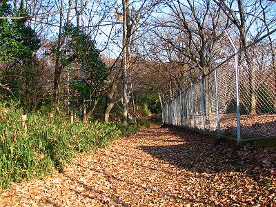 ȷ������λ���ϩ