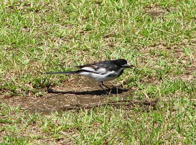 �ʹ֤˶�Ť��Ƥ���Ļ