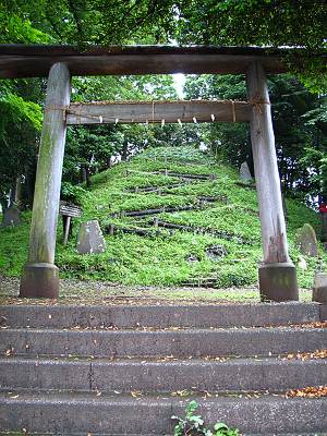 Ļ��θ������˸�������Τ�ٻ�