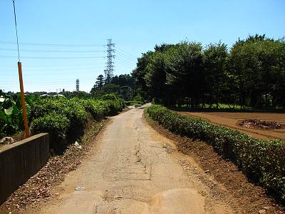 ������ �ٷ�ΰ�ͼ���