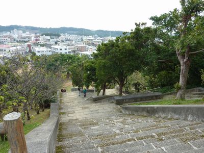 �ſ����Ϥ���Φ�˸����Ƥ����