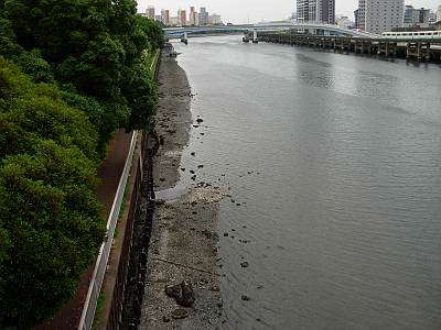 毎日がレビュー 干潮時の京浜運河 東京都品川区