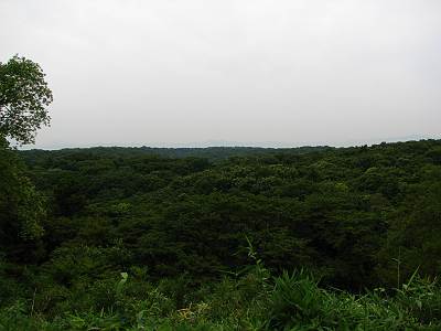 ĺ�夫��ð������¿�ࡦ��������