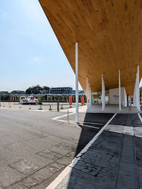 PXL_20260307_045515357-EDIT