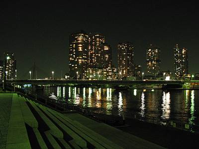 ���綶����