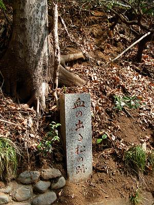 �뻳���Ҥη�νФ뾾����