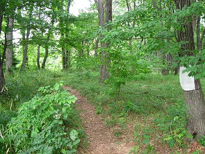 �Ѹ��������������ϰ�