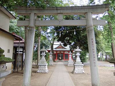 ���ſ���ASTIA