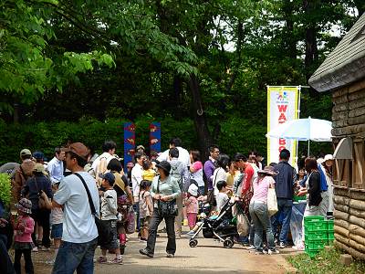 ����ꥳ���ʡ����ε���������纮��