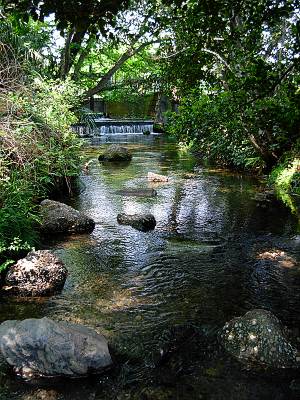 �������Ϥ���������줫��ФƤ���ͯ��