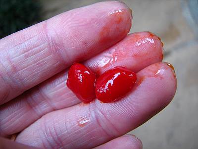 �ͤäȤꤷ�Ƥޤ������������٤Ƥߤʤ��ȡ�����������Ԥ��ޡ���