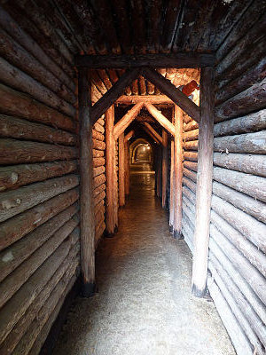 ƶ������2