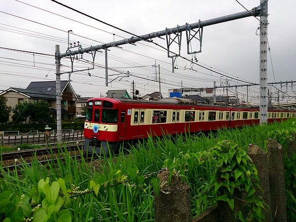 ����Ŵƻ�ι�ʡ���֤��ż�