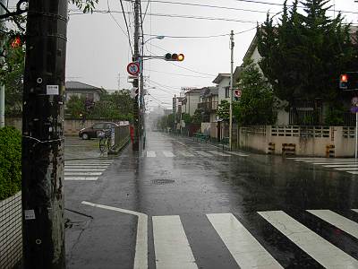 �ߤä�������ʡ�����ή���