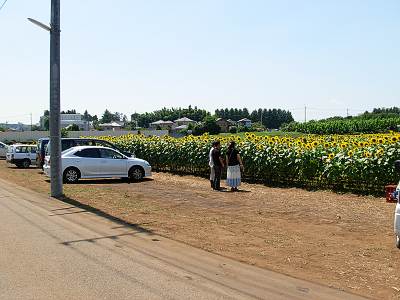 �����ԤΤҤޤ��Ȫ2009����־촰��