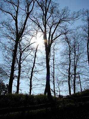 ���߿�Į�����ͤ�����˾��