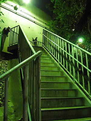 ����ȥ�ͥ벣�γ���