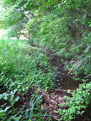 �֥ɥ�ƽ���ξ���