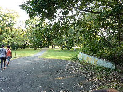 CLUB������