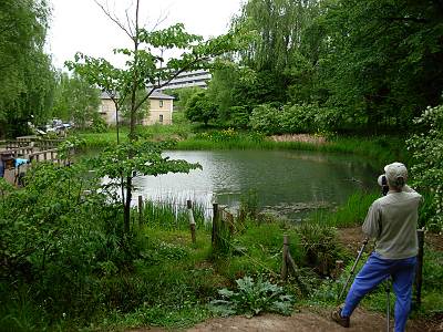 �Ѹ�����