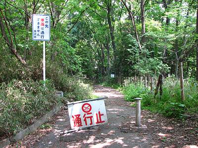 ��������������μ��Ϥؤιߤ��