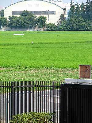 �����ľ���� ����Ͽ���