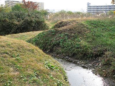 ë�Ĥ��������ƻ299�����̤򸫤�