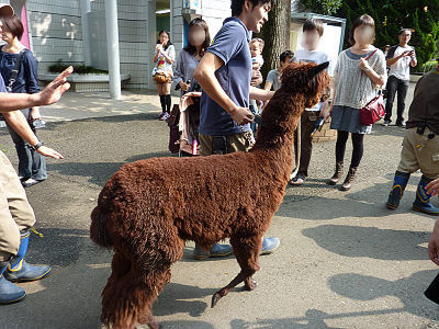 ����פ˻��ä�������ѥ�